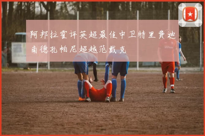 阿邦拉霍评英超最佳中卫特里费迪南德孔帕尼超越范戴克